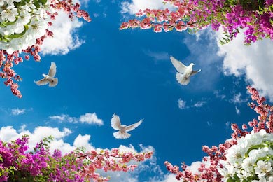 Чудесные ветки и летающие голуби в ясном небе