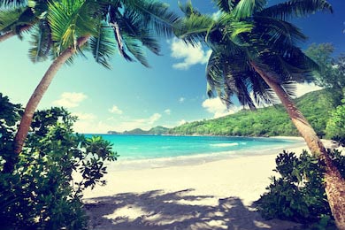 Зеленый тропический остров Маэ с голубым океаном