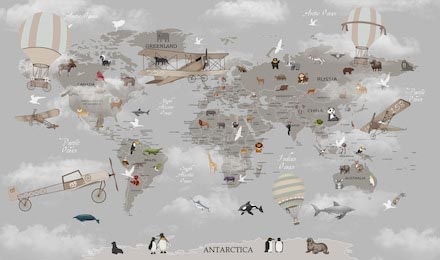 Карта мира с самолетиками и другими