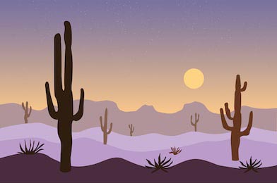 Вид на закат в песчаном ландшафте с кактусами