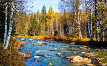 Река в осеннем лесу