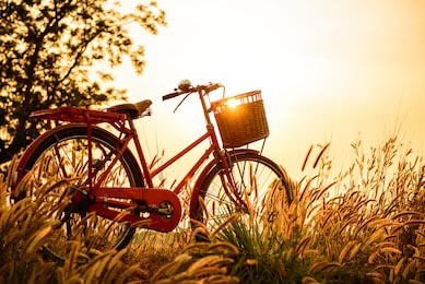 Пейзаж на ретро изображении с велосипедом на закате