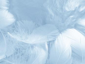 Красивые абстрактные красочные синие перья