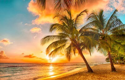Закат над морем с пальмами на острове Барбадос