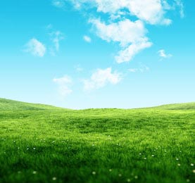 Свежие зеленые поля под голубым небом весной