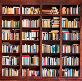 Нарисованный книжный шкаф с книгами внутри
