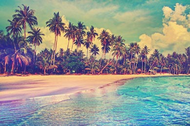 Райская природа, море и гостиничный дом на пляже