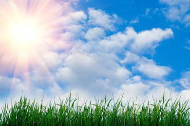 Зеленая трава на фоне голубого неба и солнца