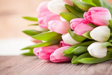 Букет белых и розовых тюльпанов на деревянном столе