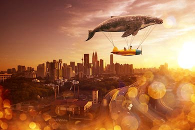 Самолетик с летающим китом на фоне города