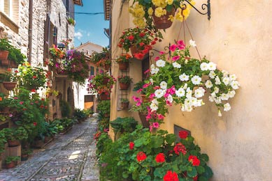 Цветочная улица в Италии, в небольшом городке