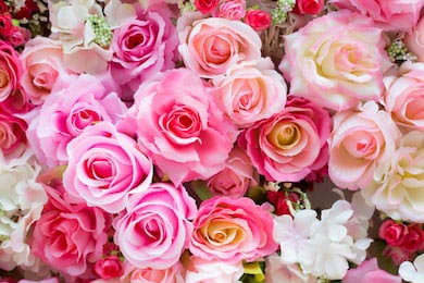 Огромный букет из розовых, белых роз и гортензии