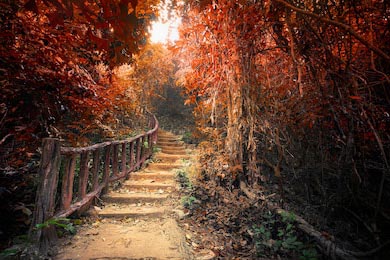 Красивый лес в осенних сюрреалистических цветах