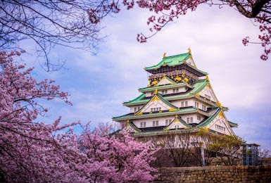 Цветущая сакура на фоне сказочного замка Осака