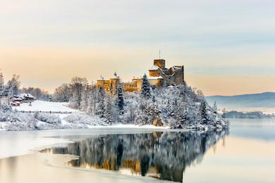 Прекрасный вид на замок Недзица зимой