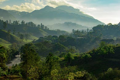 Гватемала Восход в джунглях