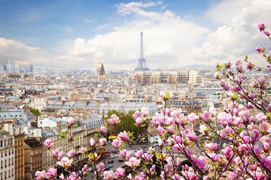 Горизонт с крышами Парижа и Эйфелевой башней