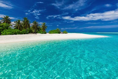 Пляж с пальмами и голубой лагуной в солнечный день