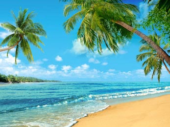 Волны на песчаном берегу с тропическими пальмами
