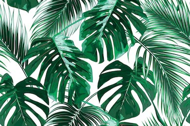 Тропические пальмовые листья на белом фоне