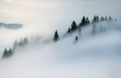 Гора Дземброня покрыта густым белым туманом