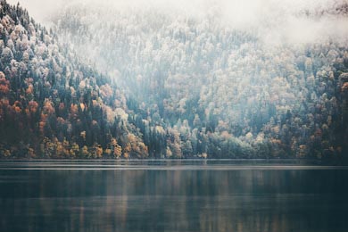 Хвойный осенний лес возле горного озера