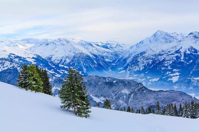 Зимние горы и деревья в снегу