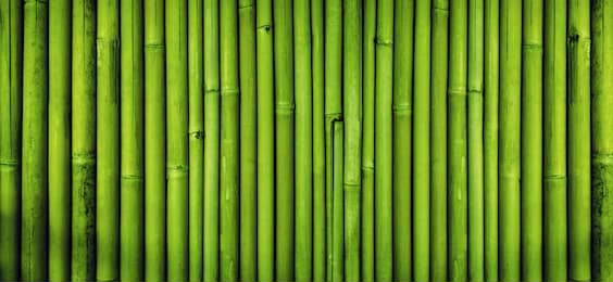 Зеленый забор из бамбука