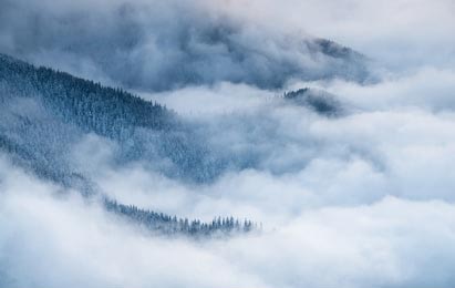 Зимний пейзаж с туманом и сосновым лесом в Карпатах