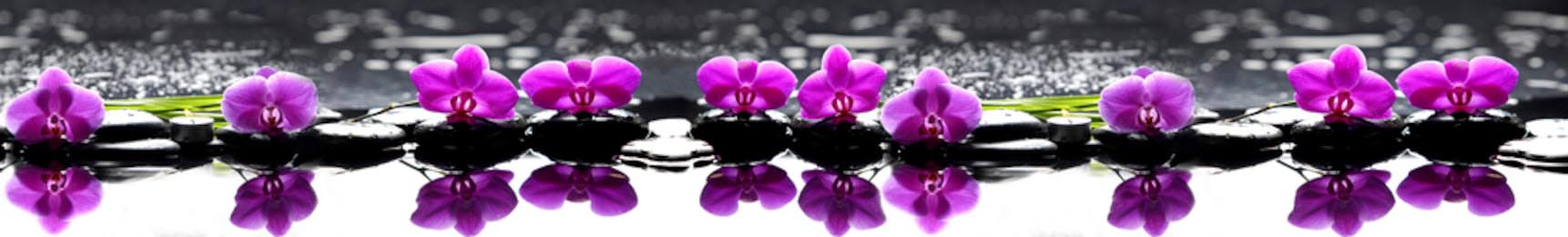 Панорамная иллюстрация фиолетовых орхидей в воде