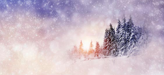 Зимний фон с заснеженными деревьями и снежинками