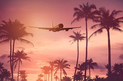 Самолет над тропическими пальмами и закатным небом