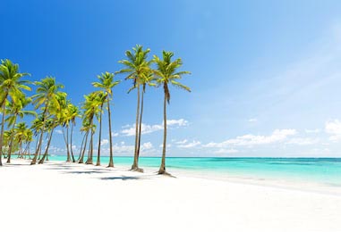 Красивый белый пляж и кокосовые пальмы на берегу