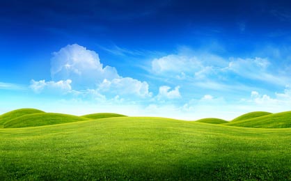 Зеленая трава на небольших холмах на фоне неба