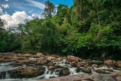 Нетронутая река в джунглях, Нацпарк Таман Негара