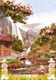 Красивый пейзаж на японский сад с водопадом