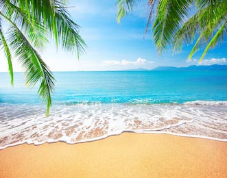 Кокосовые пальмы на фоне голубого океана 