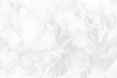 Белоснежные размытые перья на светлом фоне
