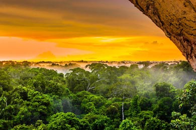 Закат над деревьями в бразильском тропическом лесу