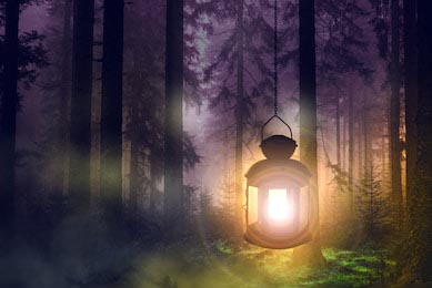 Маленький фонарик освещает сказочный лес