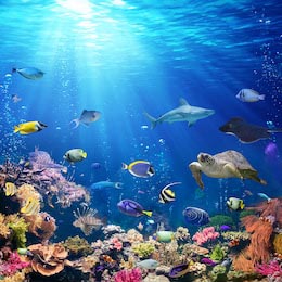 Подводный мир с рифами, черепахой и рыбами