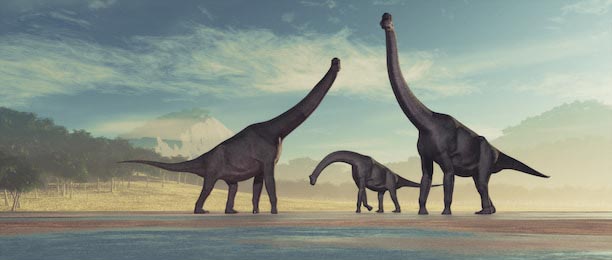  Семейство динозавров - брахиозавр 