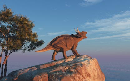 Динозавр - трицератопс кричит на камне 