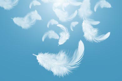 Белые перья падают в голубое небо