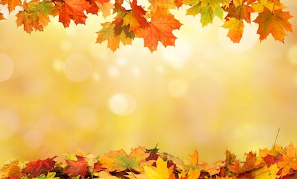 Осенний фон с разноцветными кленовыми листьями
