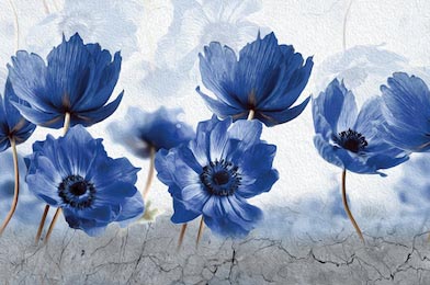 Синие цветы нарисованные масляной краской