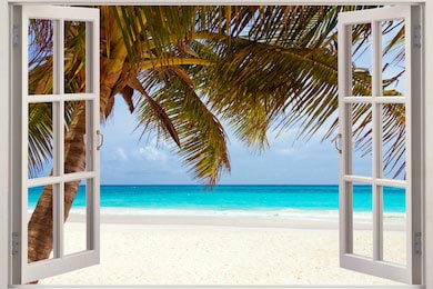 Большая пальма растущая перед окном на берегу моря