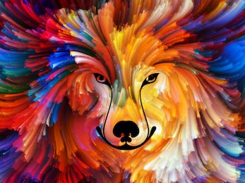 Красочный нарисованный портрет собаки в ярких тонах