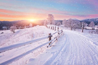 Зимняя дорога и деревья покрытые снегом