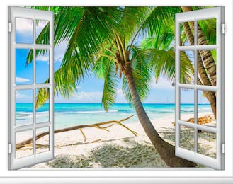 Белый песчаный пляж с пальмами вид из окна